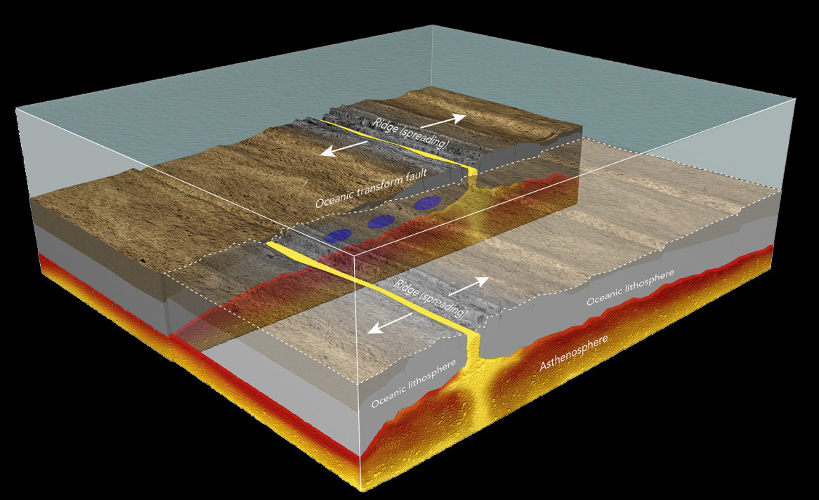 Global Agency of Geosciences Experts