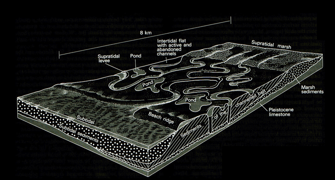 Global Agency of Geosciences Experts