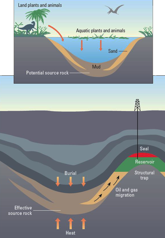 Global Agency of Geosciences Experts