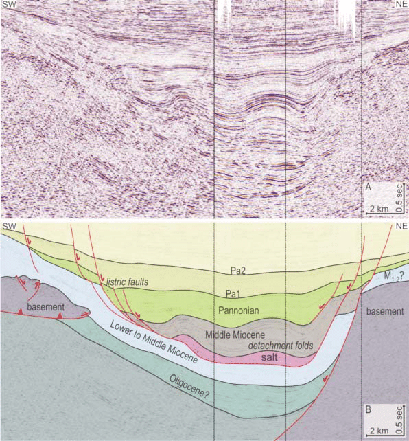 Global Agency of Geosciences Experts