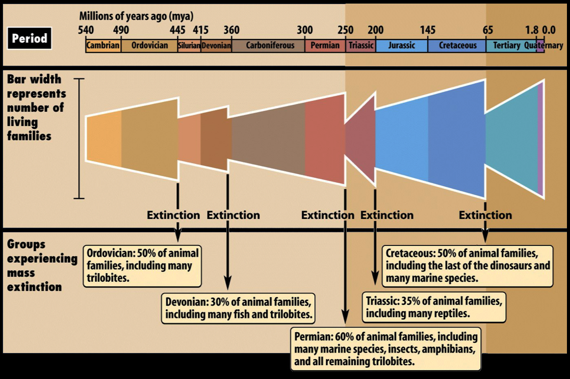 Global Agency of Geosciences Experts