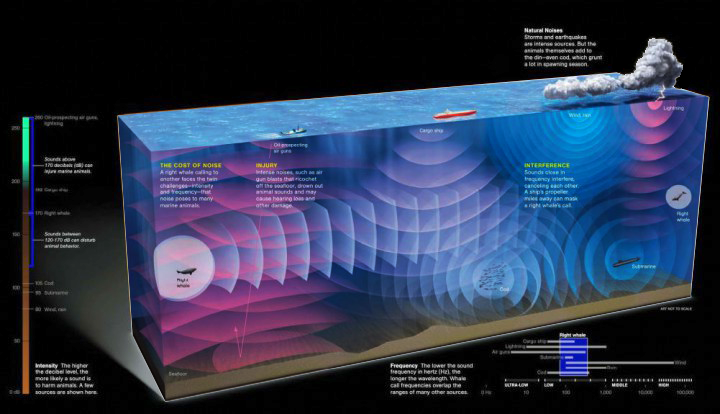 Global Agency of Geosciences Experts