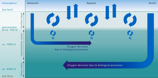 Global Agency of Geosciences Experts