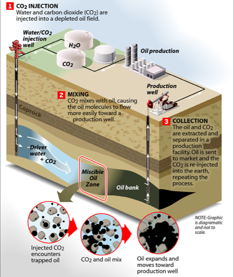 Global Agency of Geosciences Experts