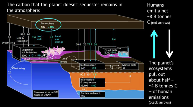 Global Agency of Geosciences Experts