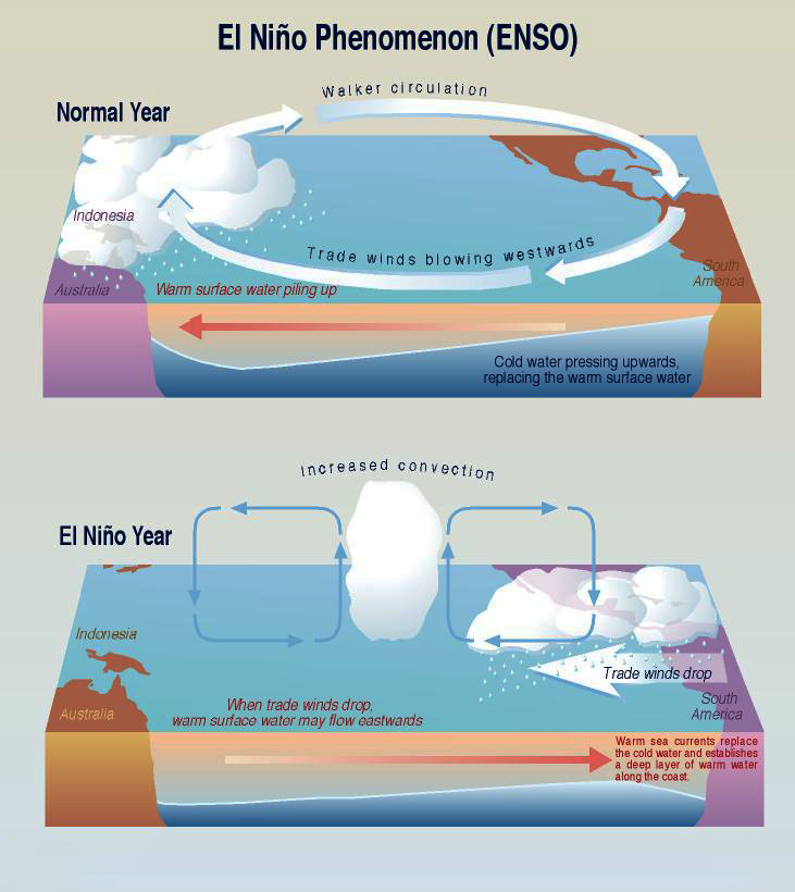 Global Agency of Geosciences Experts