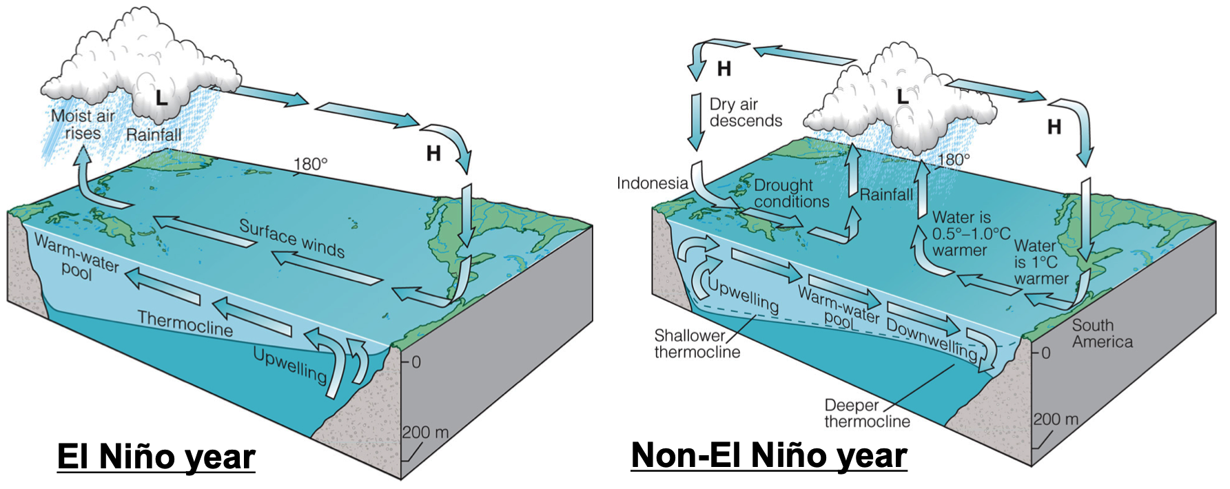 Global Agency of Geosciences Experts