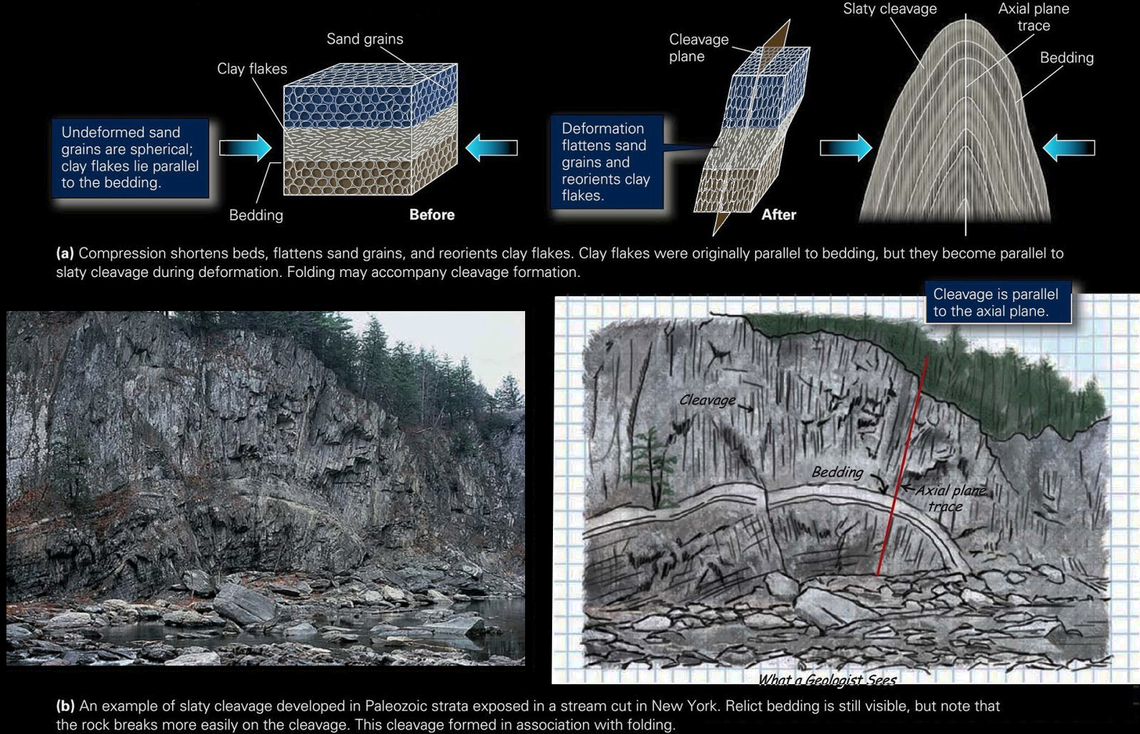 Global Agency of Geosciences Experts