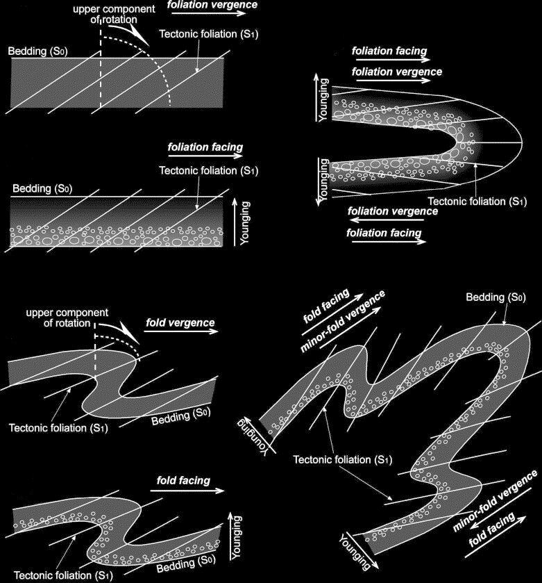 Global Agency of Geosciences Experts