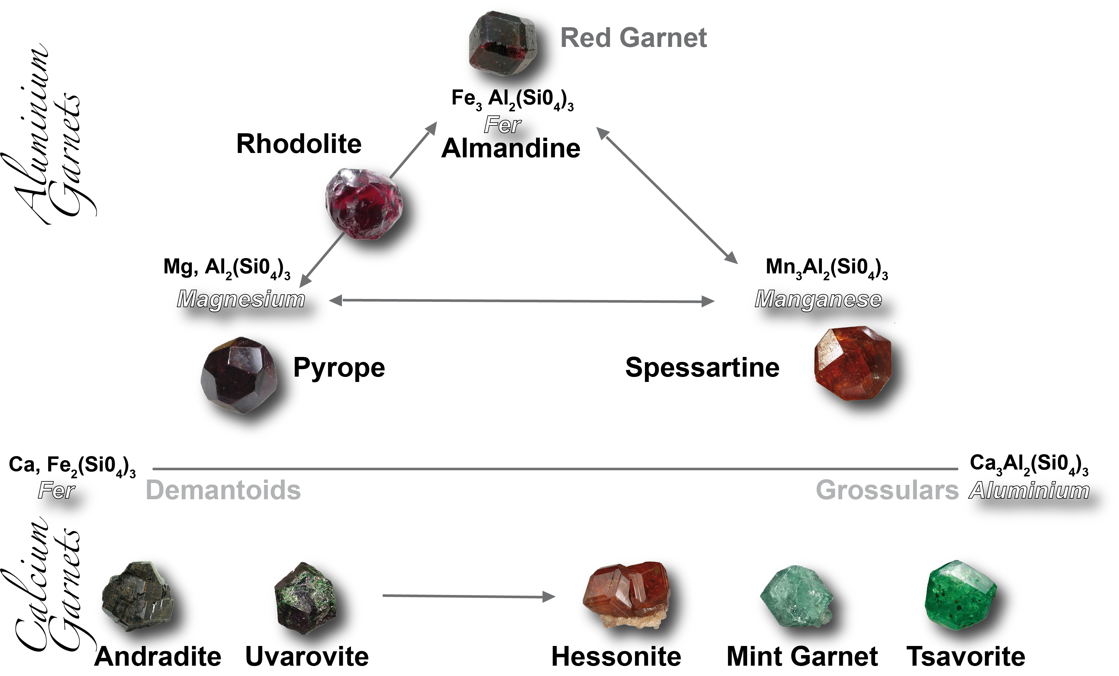 Global Agency of Geosciences Experts