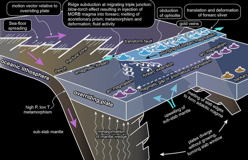 Global Agency of Geosciences Experts