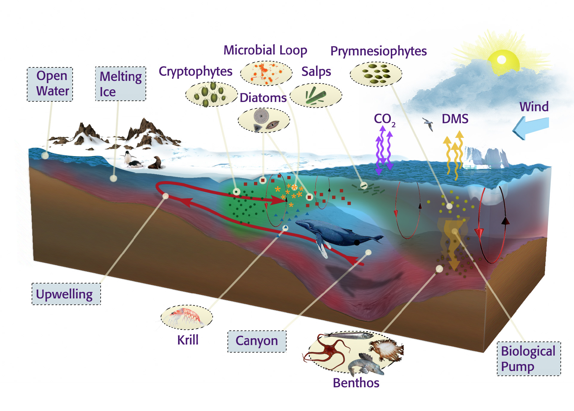 Global Agency of Geosciences Experts