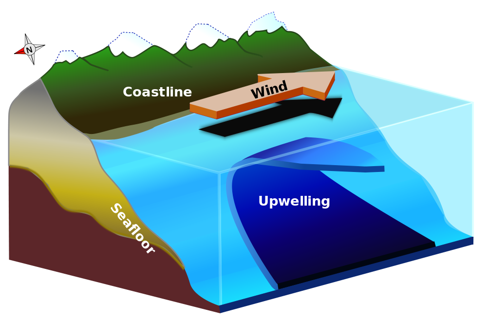 Global Agency of Geosciences Experts