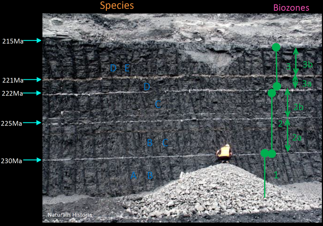 Global Agency of Geosciences Experts